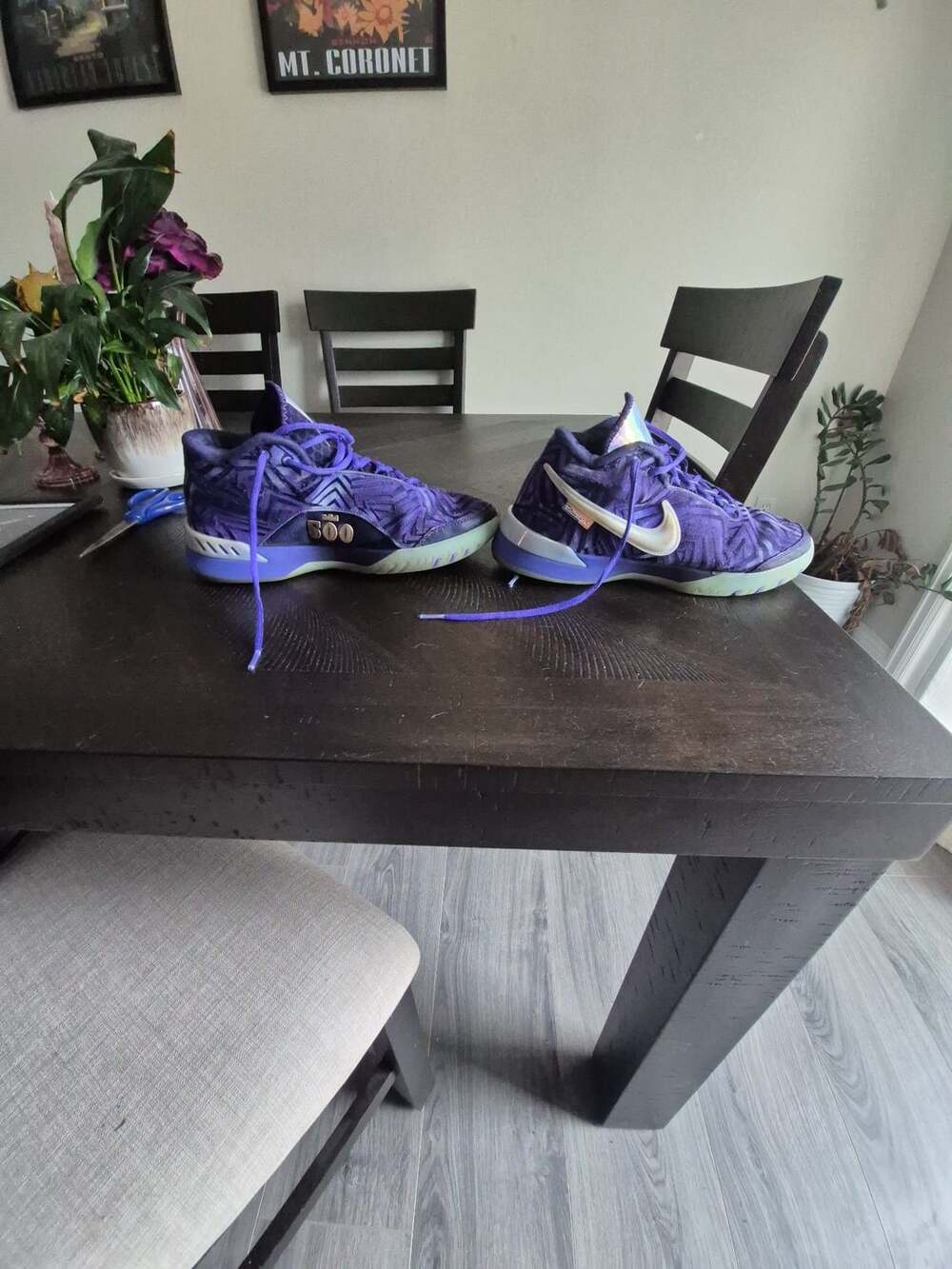 Nike Monopoly x Zoom LeBron NXXT Genisus Persian Violet Basketball Shoes